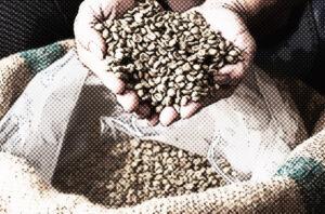 Wasser Entkoffeinierung von Kaffee 2 Deine Kaffeerösterei Qualitaet 01b e1645535452963 Deine Kaffeerösterei